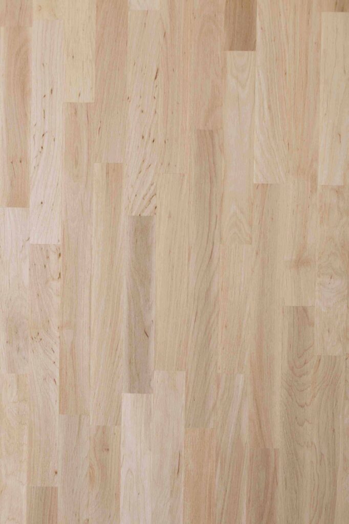 Πάνελ Μασίφ